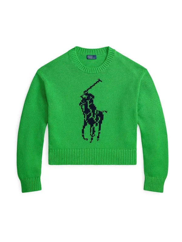 Polo Ralph Lauren Polo Ralph Lauren Pulover  mornarsko plava / zelena