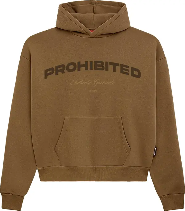 Prohibited Prohibited Sweater majica  bež / smeđa / čokolada