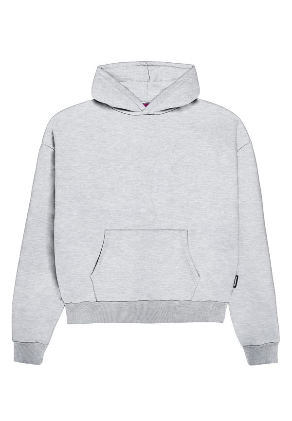 Prohibited Prohibited Sweater majica  siva melange