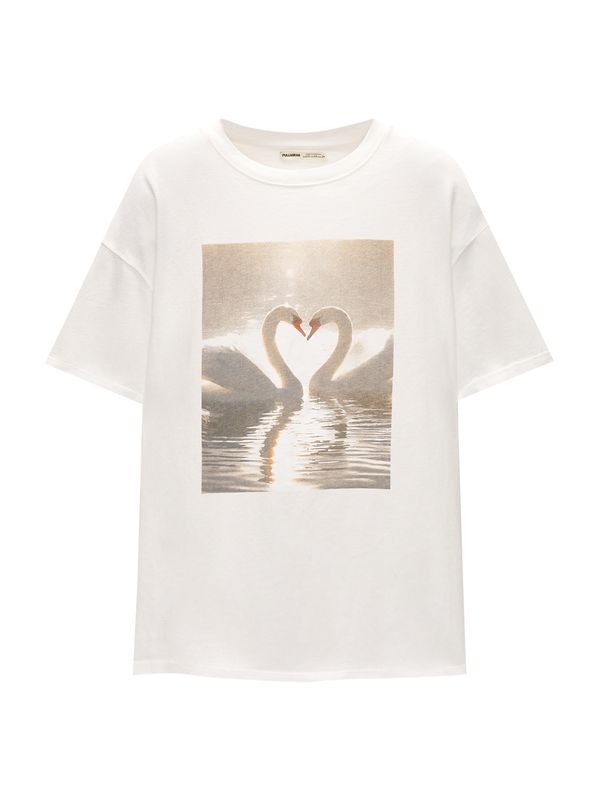 Pull&Bear Pull&Bear Majica  brokat / siva / ciglasto crvena / vuneno bijela