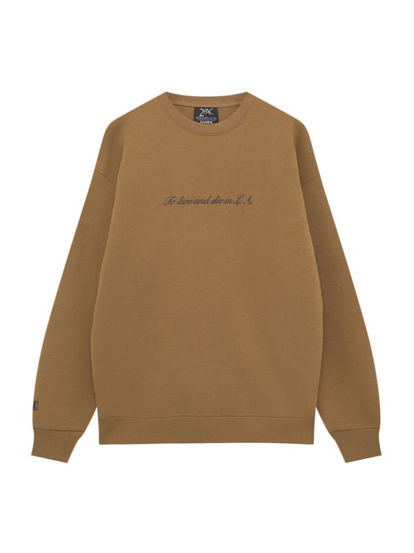 Pull&Bear Pull&Bear Sweater majica  brokat / crna