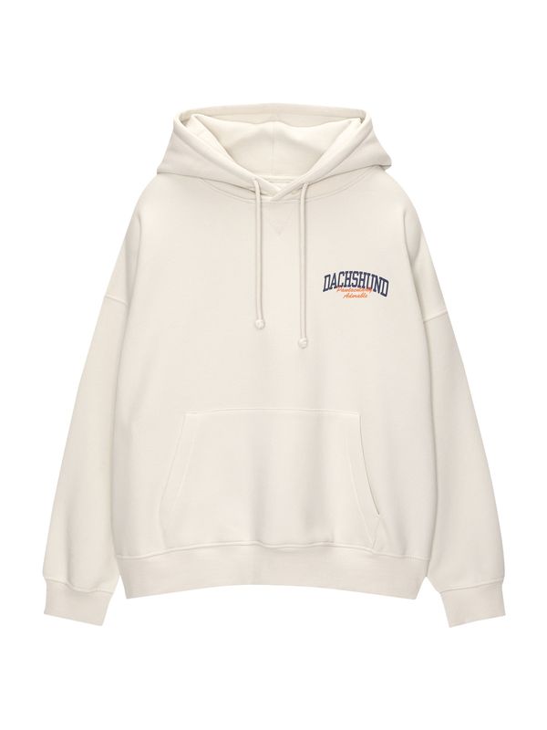 Pull&Bear Pull&Bear Sweater majica  svijetlobež / mornarsko plava / tamno smeđa / crna