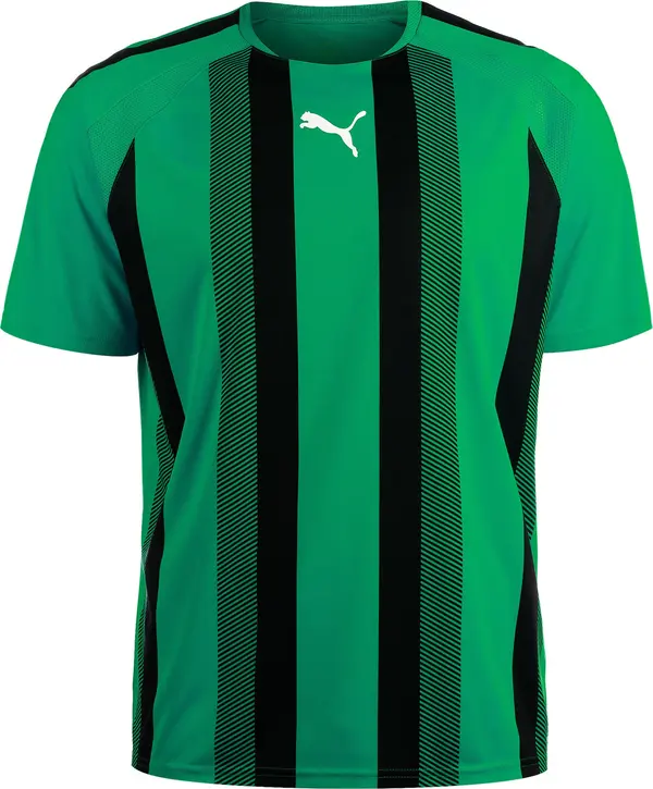 PUMA PUMA Dres 'Team Liga'  smaragdno zelena / crna / bijela