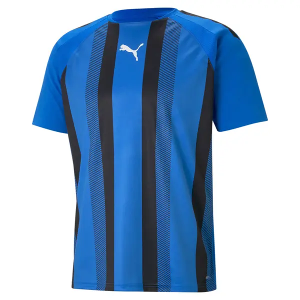 PUMA PUMA Dres 'TeamLiga'  kraljevsko plava / crna / bijela
