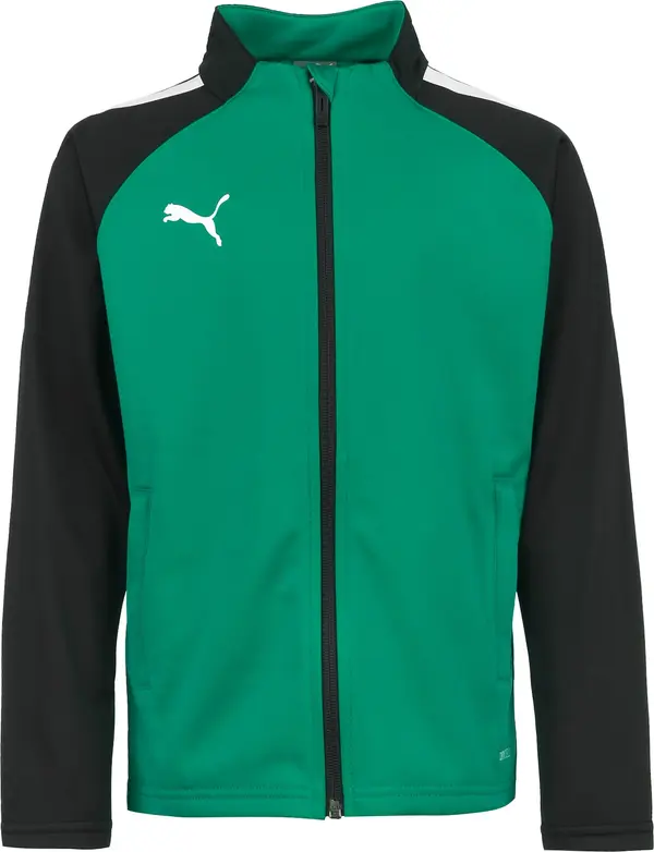 PUMA PUMA Sportska jakna 'TeamLIGA'  antracit siva / travnato zelena / bijela