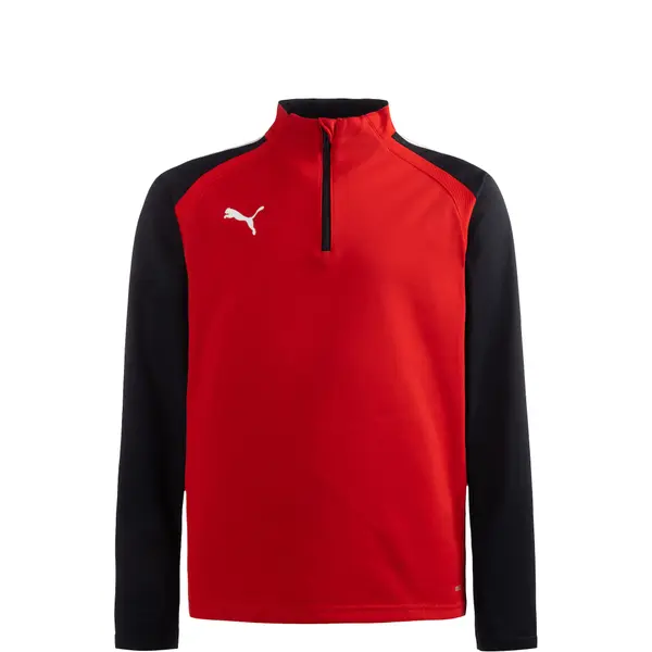PUMA PUMA Sportska sweater majica 'TeamLiga 14'  crvena / crna