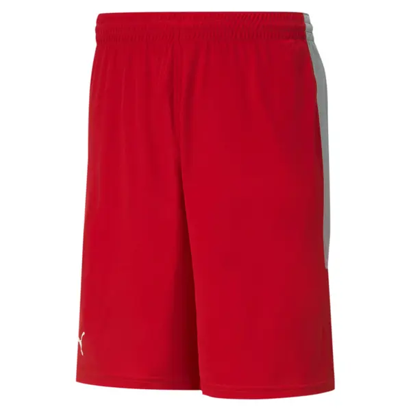 PUMA PUMA Sportske hlače  crvena / bijela