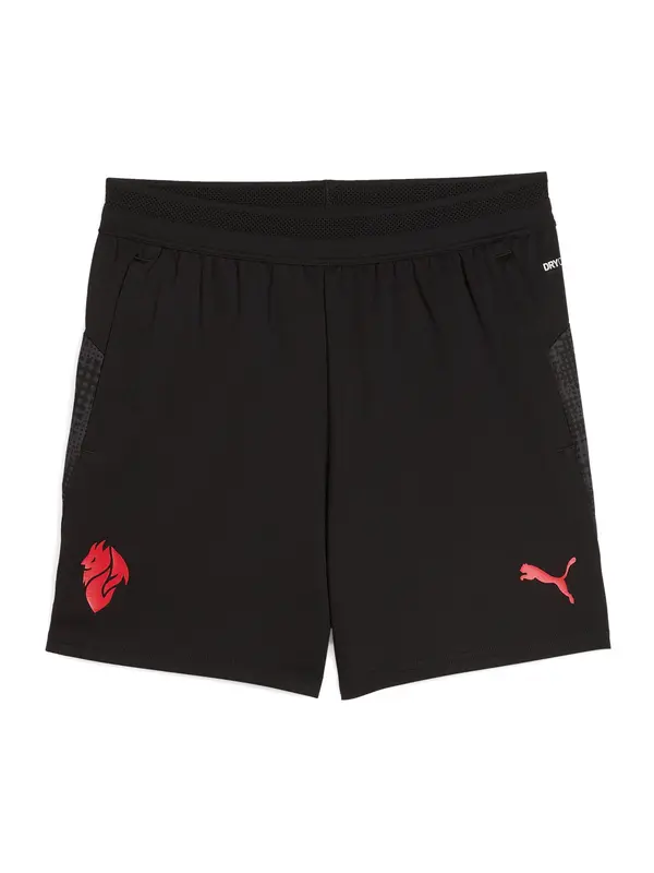 PUMA PUMA Sportske hlače  crvena / crna