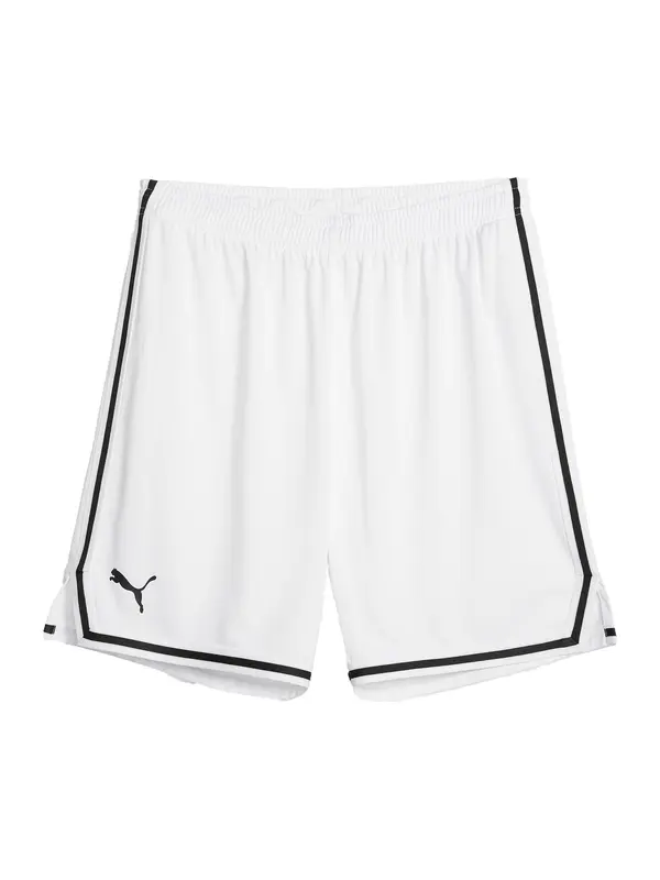 PUMA PUMA Sportske hlače 'Hoops Team'  crna / bijela