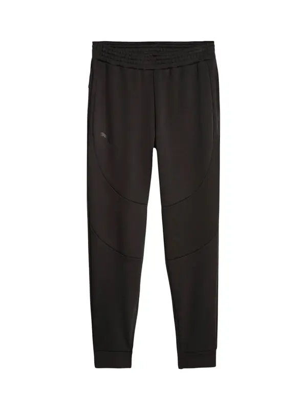 PUMA PUMA Sportske hlače 'Hoops Team Dime'  crna