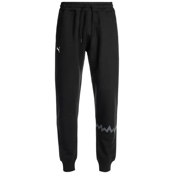 PUMA PUMA Sportske hlače 'Hoops Team'  siva / crna