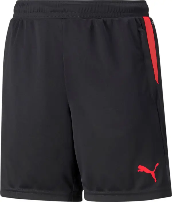 PUMA PUMA Sportske hlače 'Individualcup'  crvena / crna