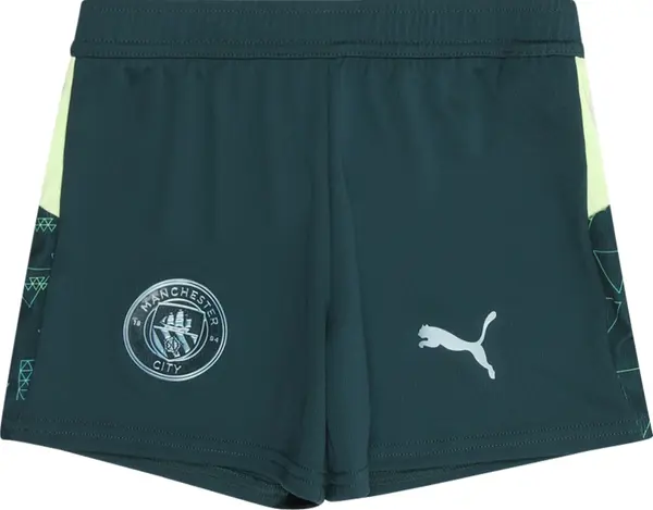 PUMA PUMA Sportske hlače 'Manchester City 25/26'  svijetlozelena / tamno zelena / bijela