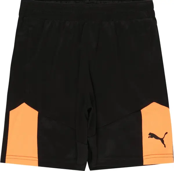 PUMA PUMA Sportske hlače  narančasta / crna