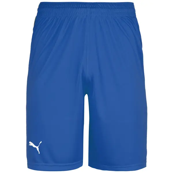 PUMA PUMA Sportske hlače  plava / siva