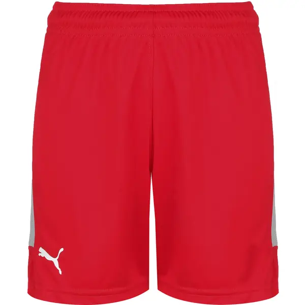 PUMA PUMA Sportske hlače  siva / crvena / bijela