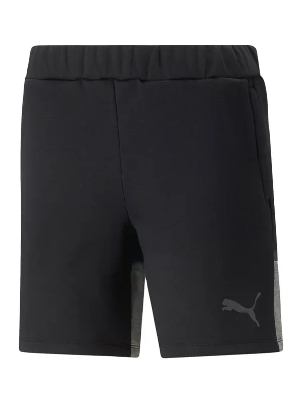 PUMA PUMA Sportske hlače 'Team Cup'  tamo siva / crna