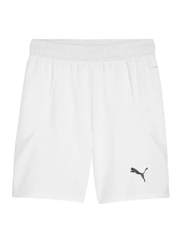 PUMA PUMA Sportske hlače 'Team Final'  siva / crna / bijela