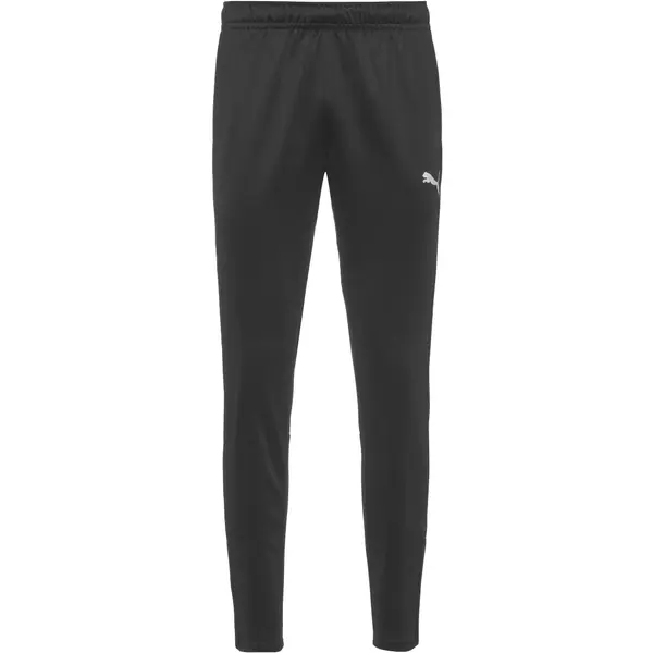 PUMA PUMA Sportske hlače 'Team Goal'  siva / crna