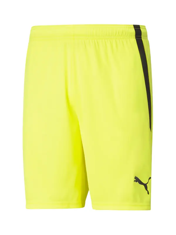 PUMA PUMA Sportske hlače 'Team Liga'  limun / crna
