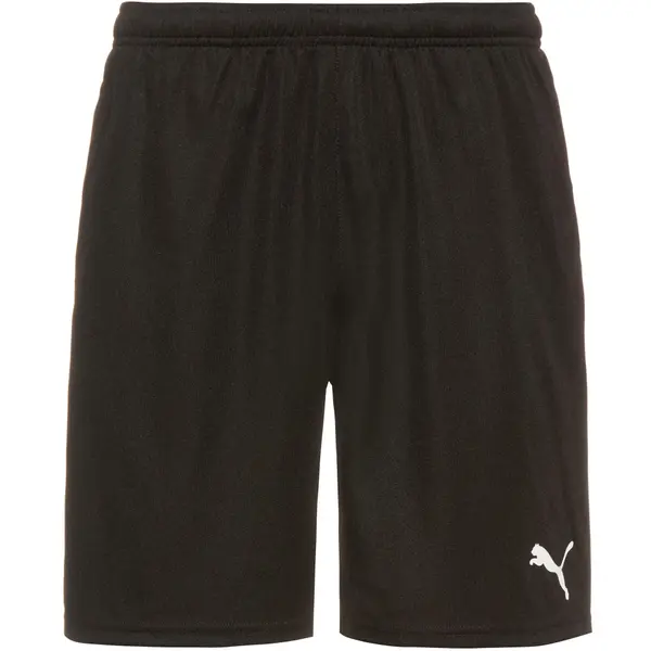 PUMA PUMA Sportske hlače 'Team Rise'  crna / bijela
