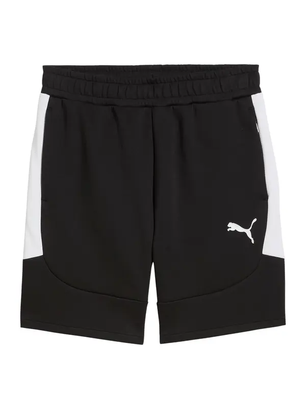 PUMA PUMA Sportske hlače 'TeamEvostripe'  crna / bijela