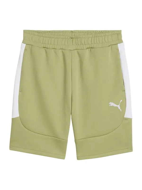 PUMA PUMA Sportske hlače 'TeamEvostripe'  maslinasta / bijela