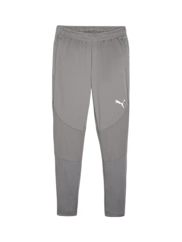 PUMA PUMA Sportske hlače 'teamFINAL'  siva / dimno siva / bijela