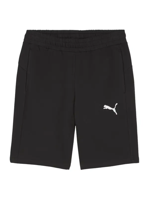 PUMA PUMA Sportske hlače 'TeamGOAL'  crna / bijela
