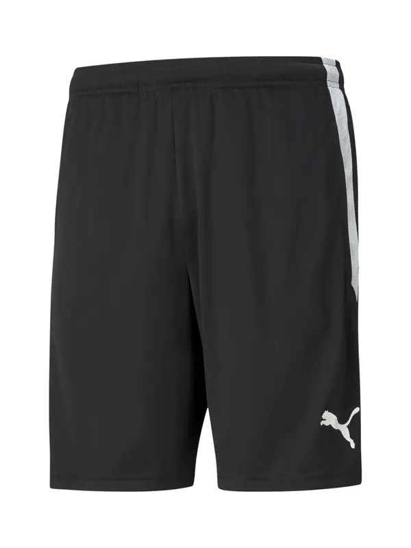 PUMA PUMA Sportske hlače 'TeamLiga'  crna / bijela