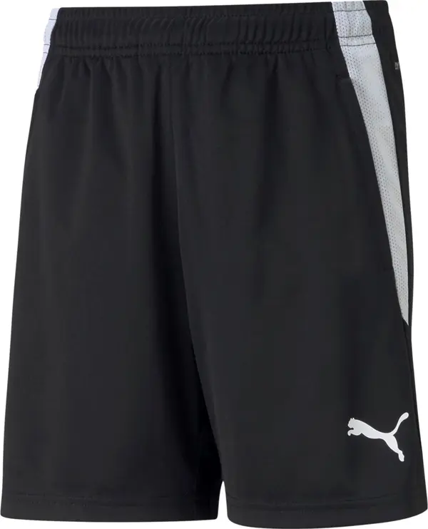 PUMA PUMA Sportske hlače 'TeamLiga'  crna / bijela