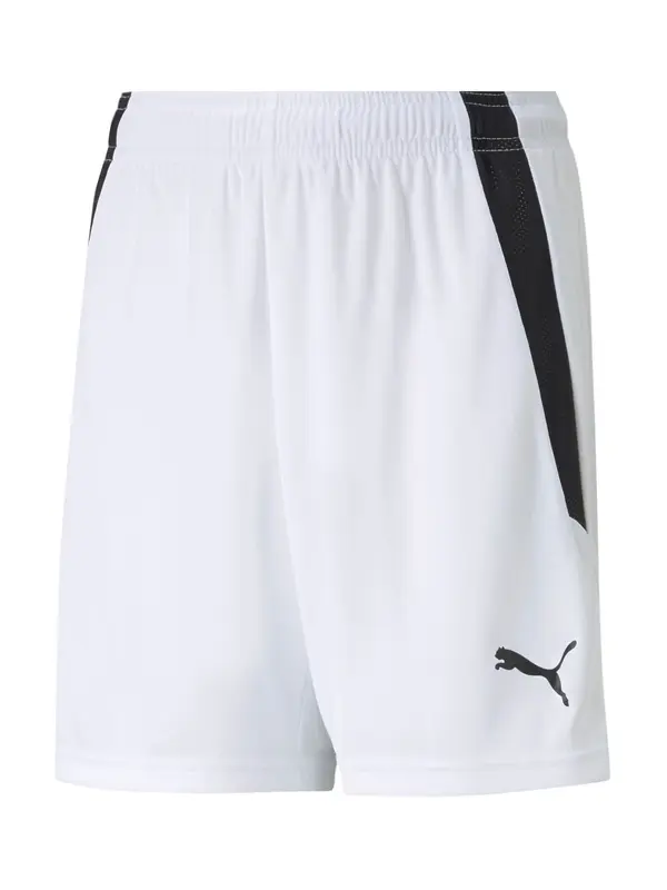 PUMA PUMA Sportske hlače 'TeamLiga'  crna / bijela