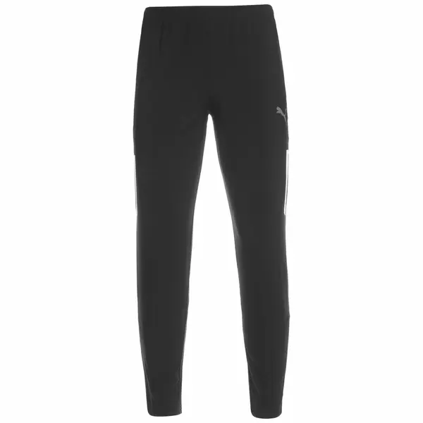 PUMA PUMA Sportske hlače 'TeamLiga'  crna / srebro