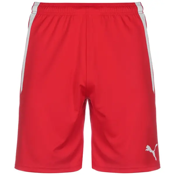 PUMA PUMA Sportske hlače 'TeamLiga'  crvena / bijela
