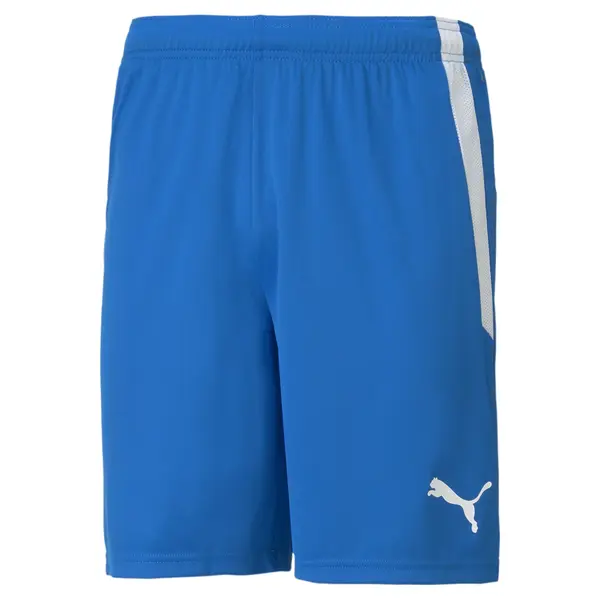 PUMA PUMA Sportske hlače 'TeamLIGA'  kraljevsko plava / bijela