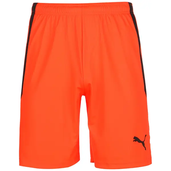 PUMA PUMA Sportske hlače 'TeamLiga'  narančasto crvena / crna