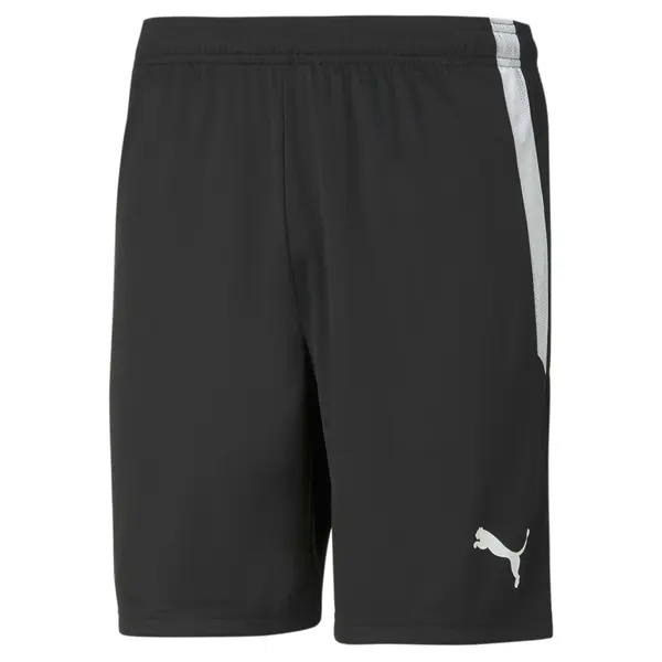 PUMA PUMA Sportske hlače 'TeamLiga'  svijetlosiva / crna / bijela