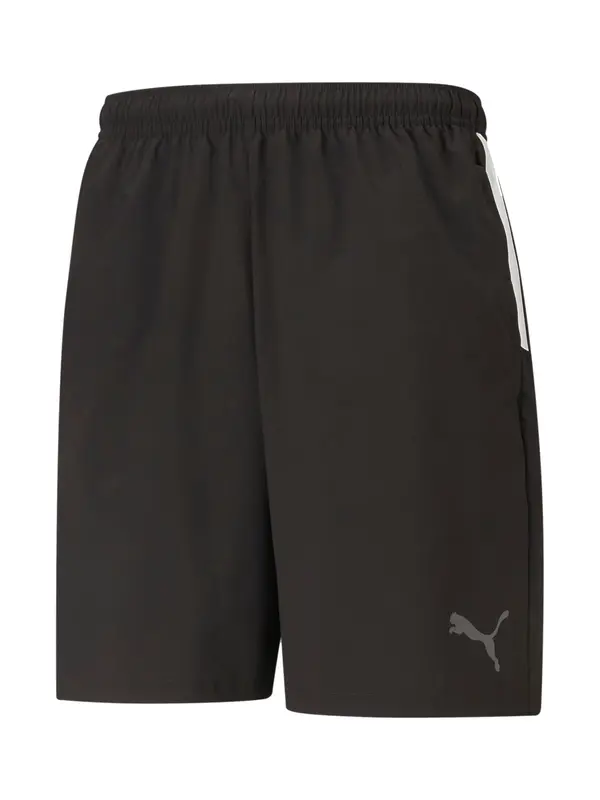PUMA PUMA Sportske hlače 'TeamLiga'  tamo siva / crna