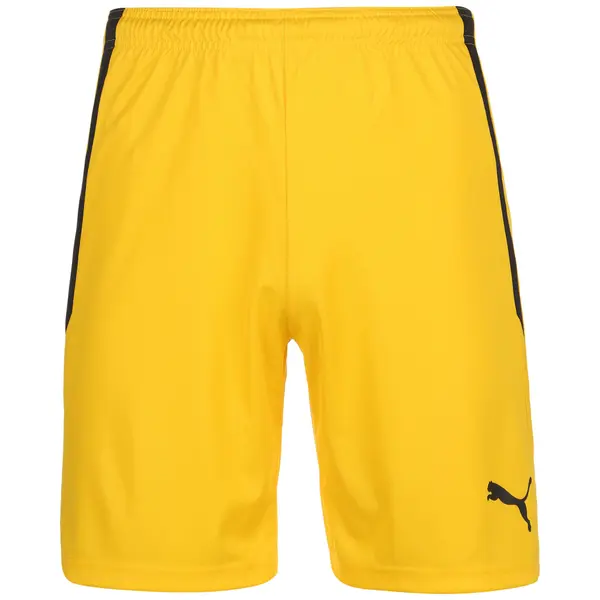 PUMA PUMA Sportske hlače 'TeamLiga'  žuta / crna