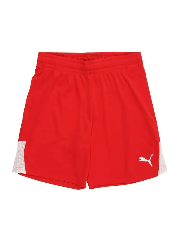 PUMA PUMA Sportske hlače 'TeamLIGA26'  crvena / bijela