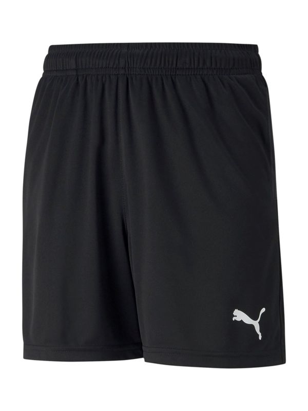 PUMA PUMA Sportske hlače 'Teamrise'  crna / bijela