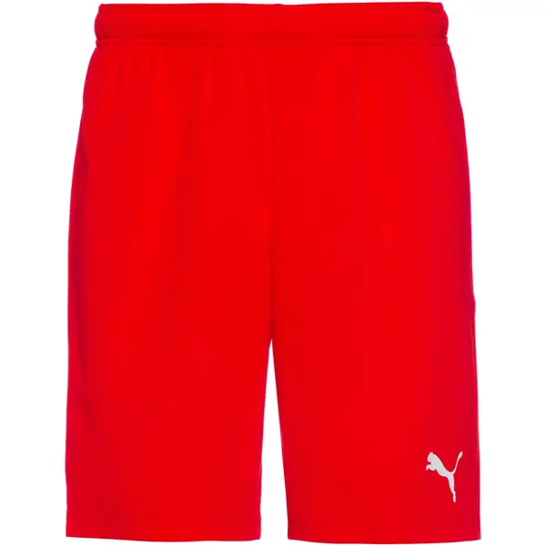 PUMA PUMA Sportske hlače 'TeamRise'  crvena / bijela