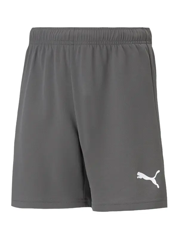 PUMA PUMA Sportske hlače 'TeamRise'  siva / bijela