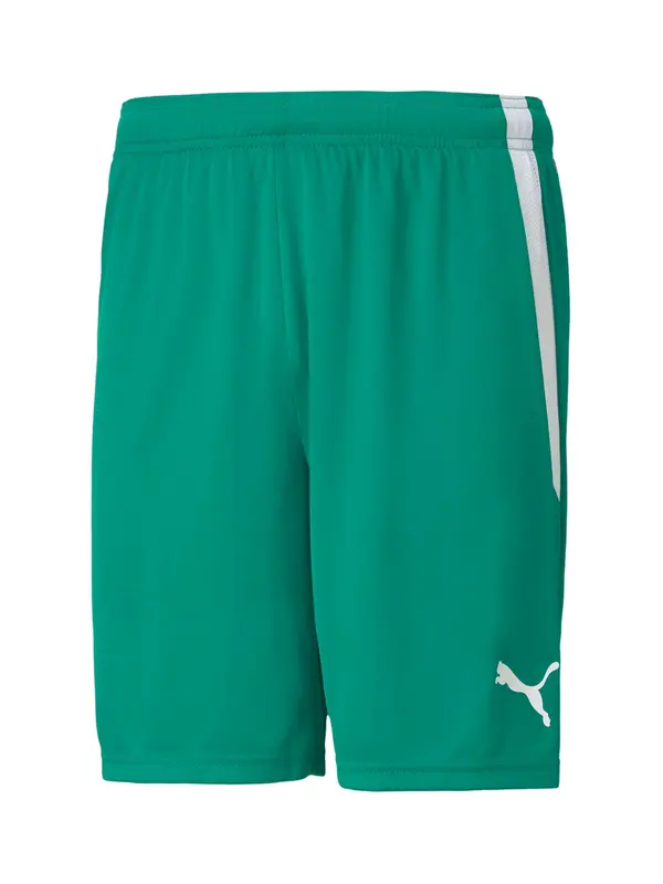 PUMA PUMA Sportske hlače  zelena / bijela