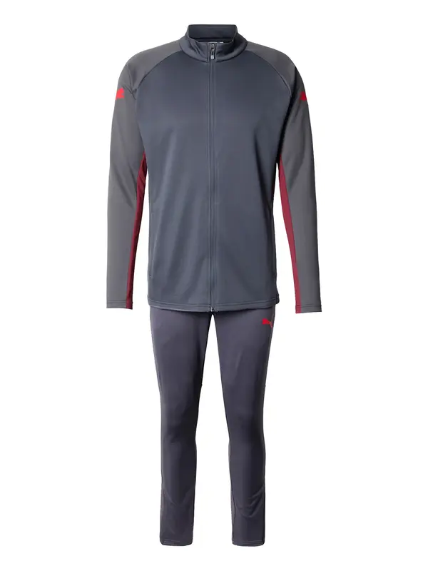PUMA PUMA Sportski komplet 'IndividualLIGA'  morsko plava / grafit siva / krvavo crvena