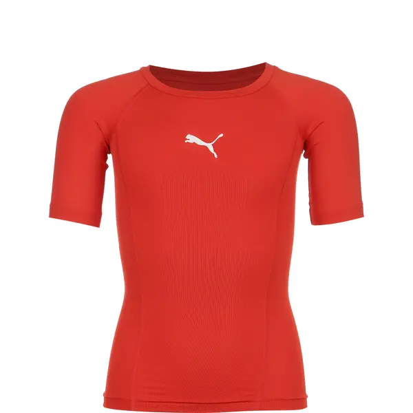 PUMA PUMA Sportsko donje rublje  crvena / srebro
