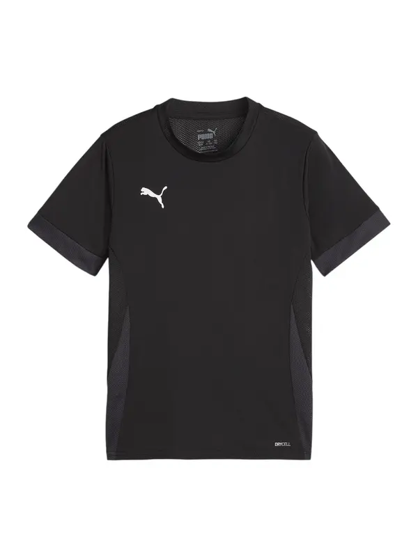 PUMA PUMA Tehnička sportska majica  antracit siva / crna / bijela