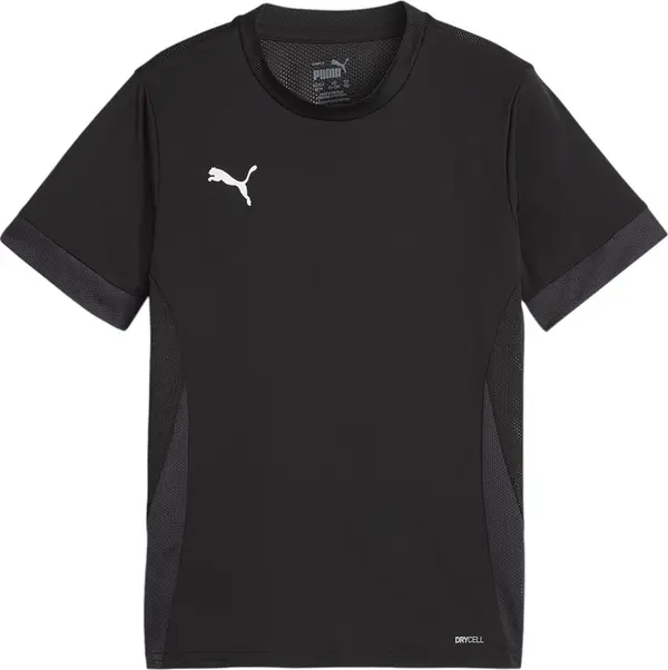 PUMA PUMA Tehnička sportska majica  antracit siva / crna / bijela