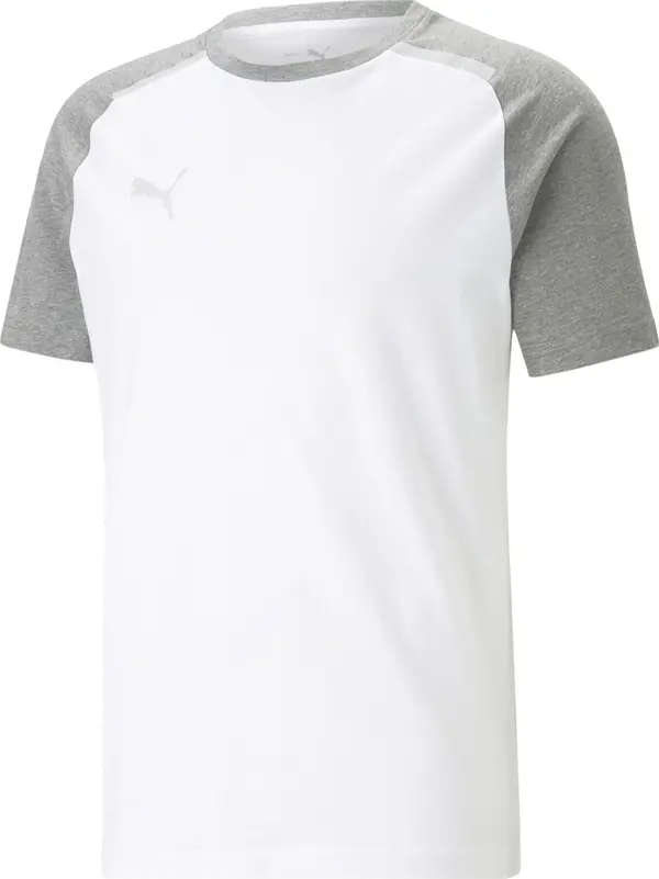 PUMA PUMA Tehnička sportska majica 'Team Cup'  siva melange / bijela
