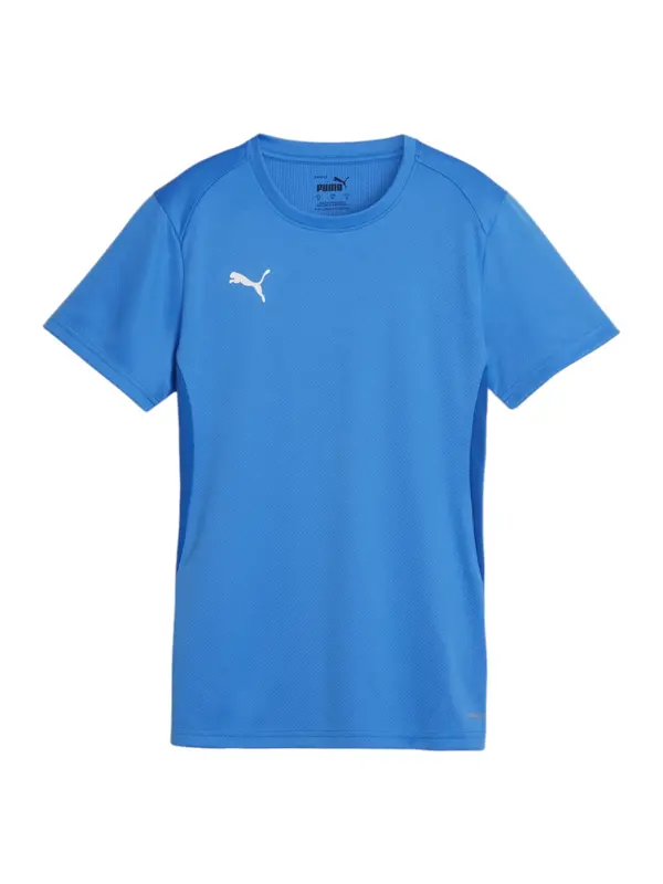 PUMA PUMA Tehnička sportska majica 'Team Goal'  plava / bijela